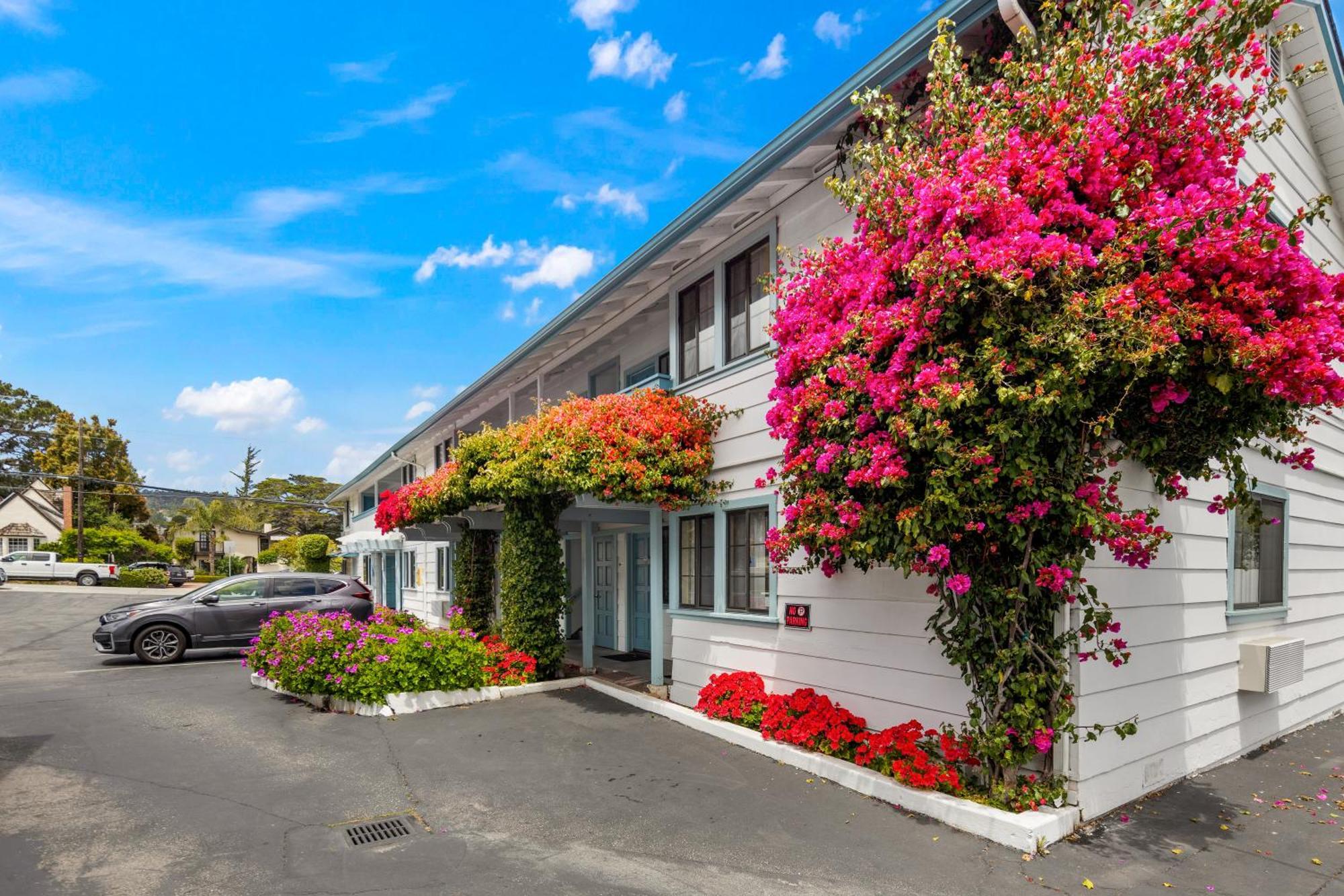 Arbor Motel